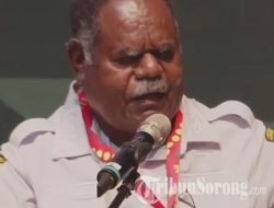 Kritik Tegas Gubernur Papua Barat Daya Terhadap Penguasaan Hutan oleh Pihak Luar